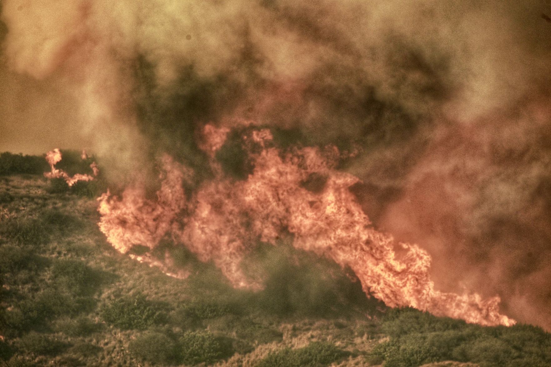 101421 alisal fire eliason 2.jpg